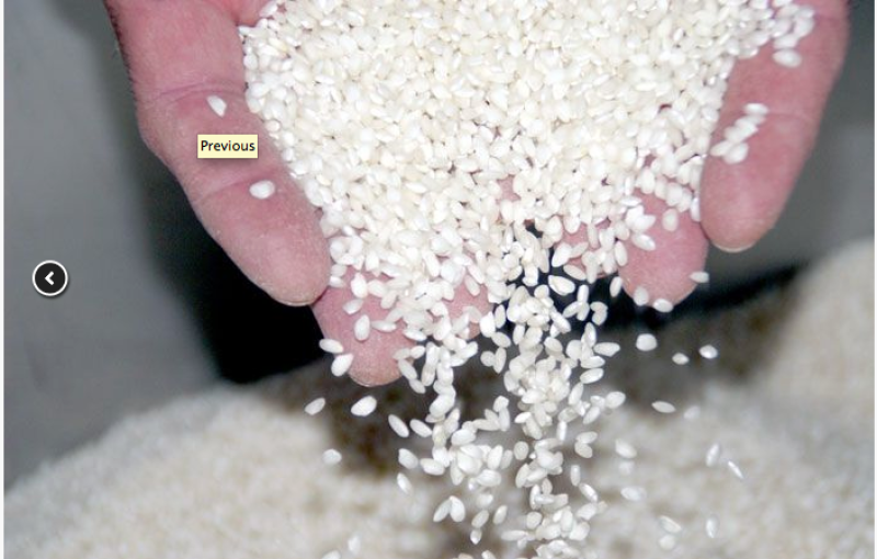 riz melotti