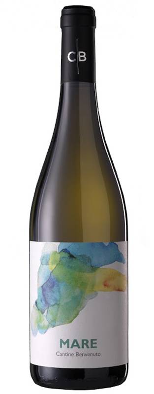 Les trésors de la Calabre : découvrez l'élégance rare des vins du domaine Cantine Benvenuto en Calabre à Paris