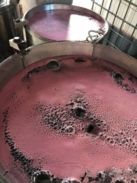 Vinaigre balsamique traditionnel