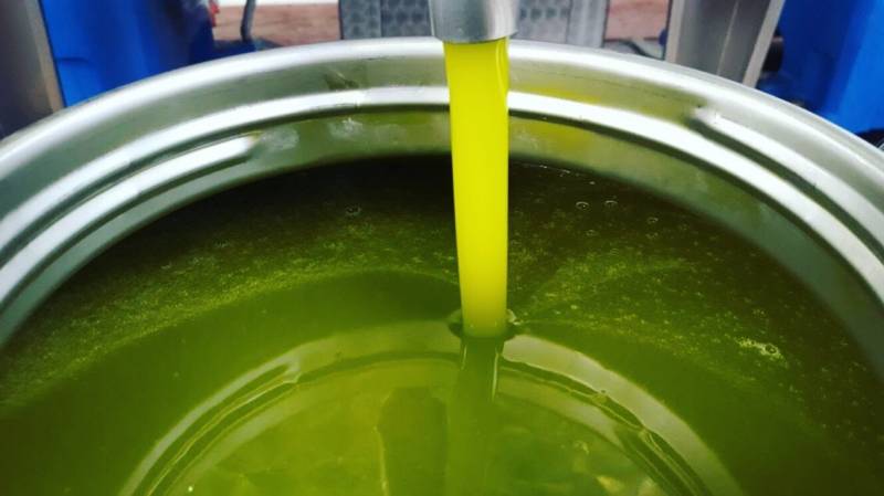 Huile d'olive nouvelle