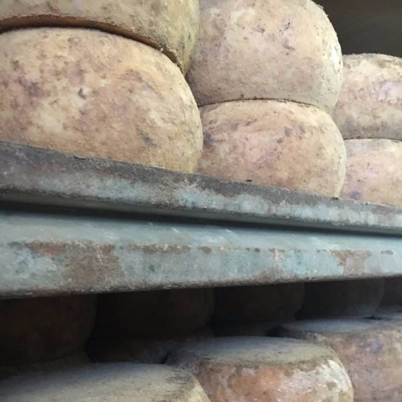 Pecorino sardo à l'épicerie Rap.