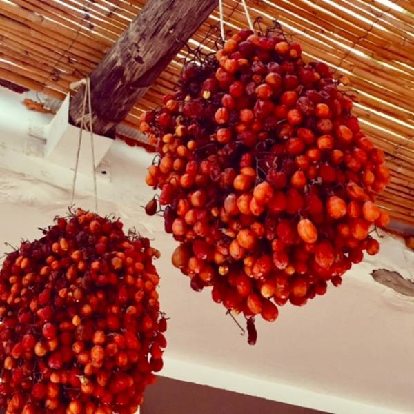 Grappe de tomates du Vésuve à l'épicerie italienne Rap.