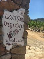 Notre zone d'activité pour ce service Epicerie italienne vente en ligne et à emporter