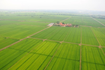 Nos prestations sur le secteur de Paris 9ème