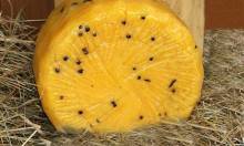 Notre zone d'activité pour ce service Trouver du pecorino Toscano et du gorgonzola